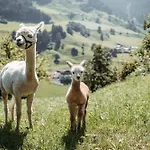 Maurachhof Gospodarstwo agroturystyczne