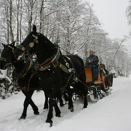 Фермерский дом Maurachhof Гроссарль