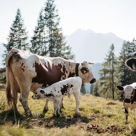 Maurachhof * Гроссарль