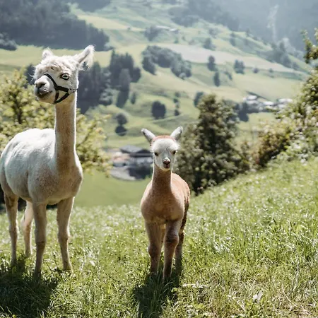 Maurachhof Фермерский дом