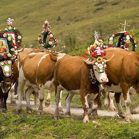 Maurachhof Гроссарль