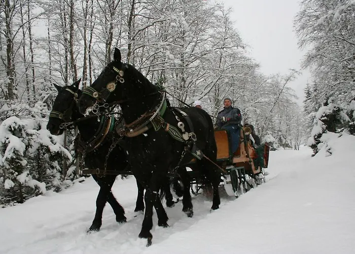 팜스테이 Maurachhof 그로살