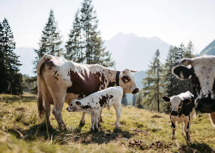 Maurachhof * 그로살