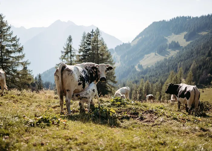 Maurachhof 팜스테이 *