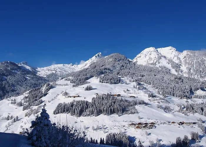 팜스테이 Maurachhof 그로살