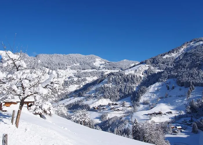 팜스테이 Maurachhof *