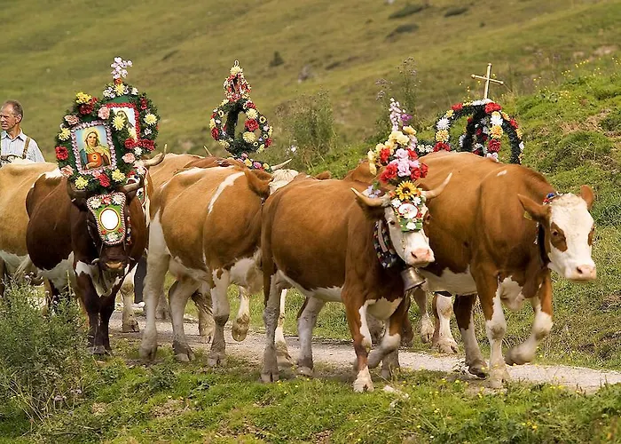 Maurachhof 그로살