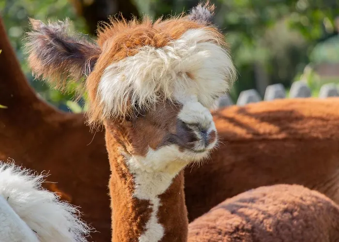 팜스테이 Maurachhof 그로살